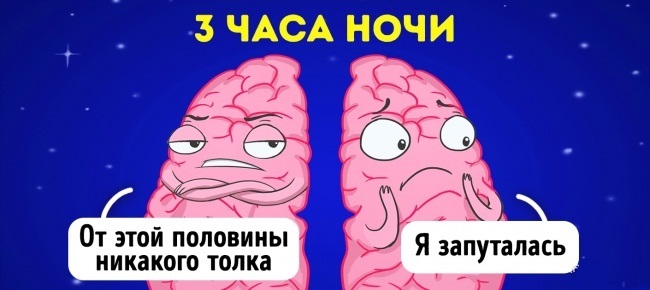 Conseils du neurobiologiste pour devenir heureux une fois pour toutes Как стать счастливым