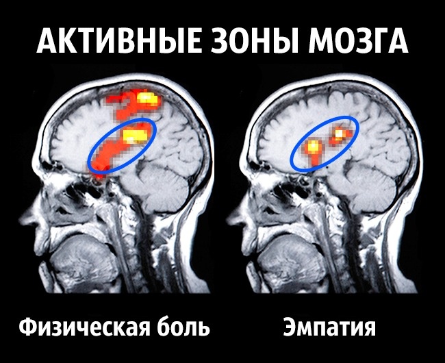 Conseils du neurobiologiste pour devenir heureux une fois pour toutes Как стать счастливым