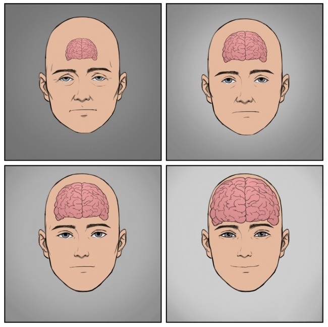 Conseils du neurobiologiste pour devenir heureux une fois pour toutes Как стать счастливым