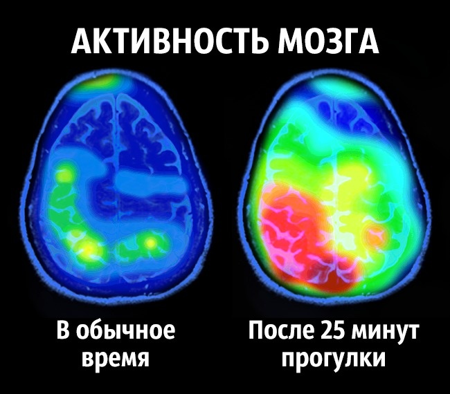 Conseils du neurobiologiste pour devenir heureux une fois pour toutes Как стать счастливым