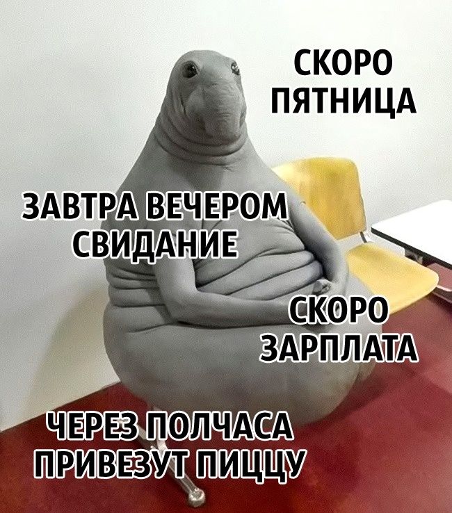 Conseils du neurobiologiste pour devenir heureux une fois pour toutes Как стать счастливым