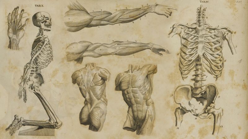 Tout ce que l'âme expérimente, le corps le rend visible Что переживает Душа, Тело делает видимым