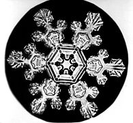 flocons de neige Photos Снимки снежинок
