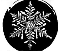 flocons de neige Photos Снимки снежинок