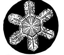 flocons de neige Photos Снимки снежинок
