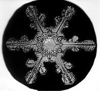 flocons de neige Photos Снимки снежинок