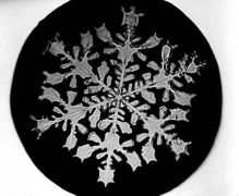 flocons de neige Photos Снимки снежинок