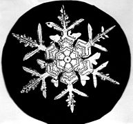flocons de neige Photos Снимки снежинок