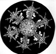 flocons de neige Photos Снимки снежинок