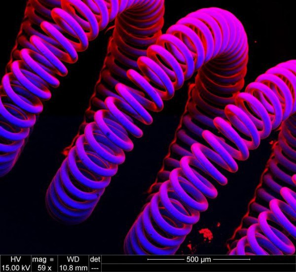Le filament de tungstène dans les lampes à incandescence - Photos 30+ sous le microscope Вольфрамовая нить в лампах накаливания - 30+ Фотографий под Микроскопом