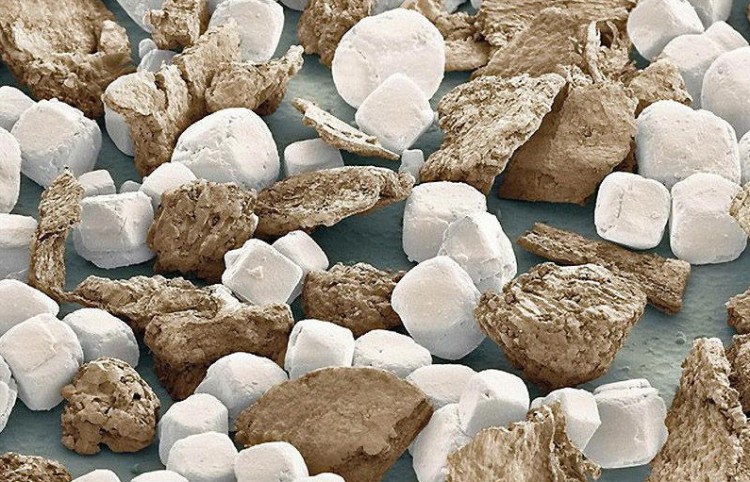 Sel et poivre - Photos 30+ sous le microscope Соль и перец - 30+ Фотографий под Микроскопом