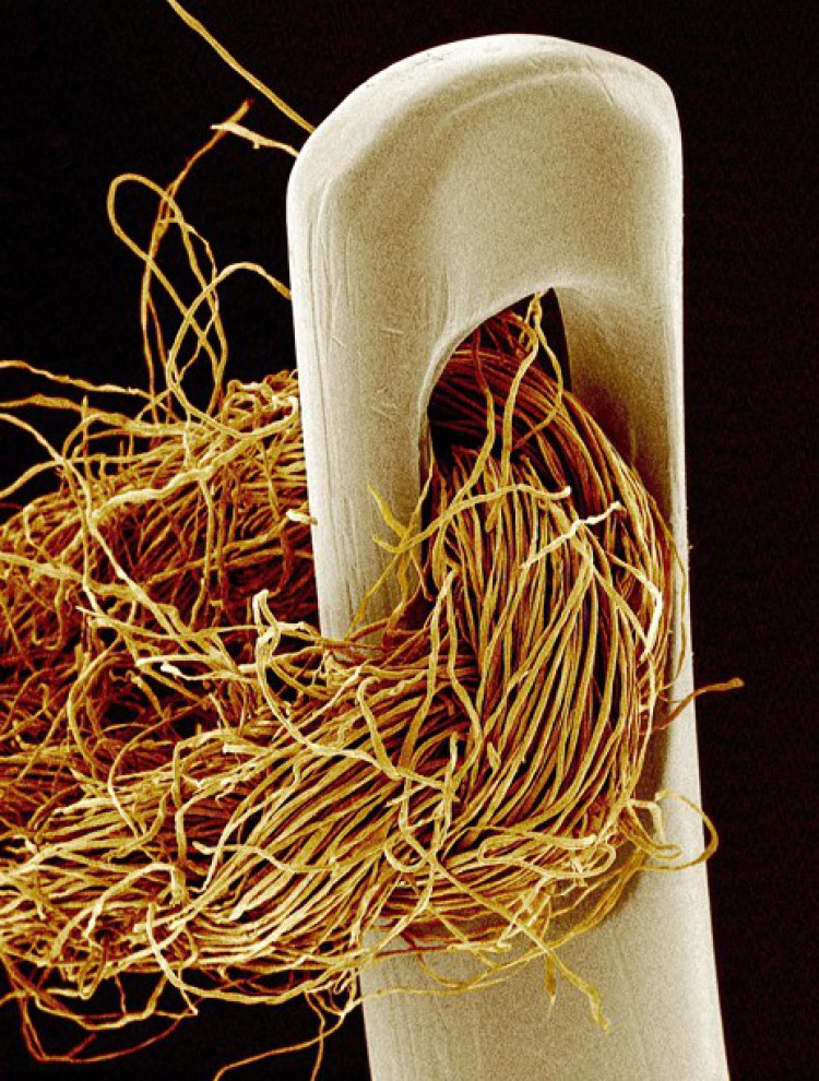 aiguille Œillet enfilée - 30+ Photos sous le microscope Ушко иглы с продетой ниткой - 30+ Фотографий под Микроскопом