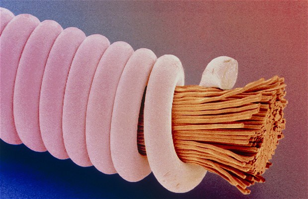 Guitar Strings - Photos 30+ sous le microscope Гитарная струна - 30+ Фотографий под Микроскопом
