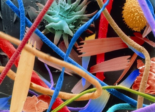 22.000.000h poussière zoom - Photos 30+ sous le microscope 22.000.000х зум пыли - 30+ Фотографий под Микроскопом