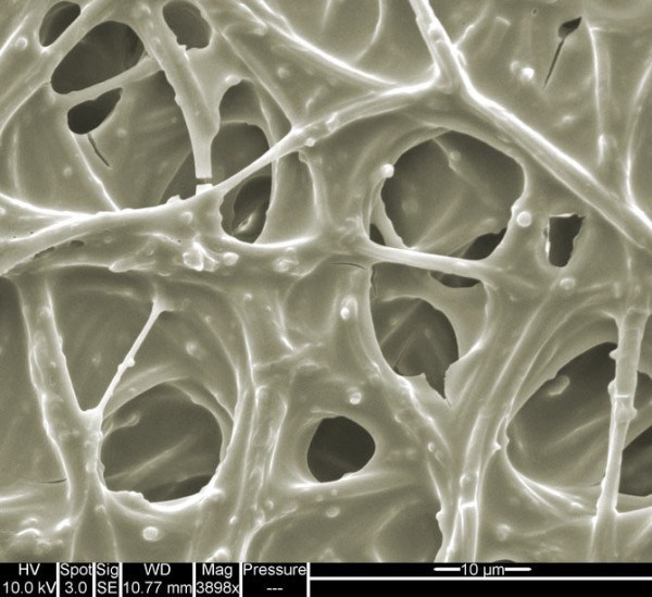 La coquille d'un oeuf (3900-grossissement) - Plus de 30 photos au microscope Скорлупа куриного яйца (3900-кратное увеличение) - 30+ Фотографий под Микроскопом