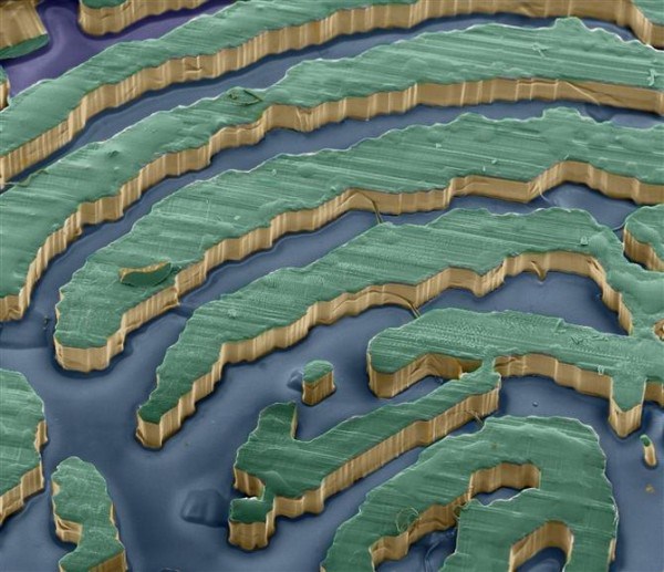 Fingerprint - Photos 30+ sous le microscope Отпечаток пальца - 30+ Фотографий под Микроскопом