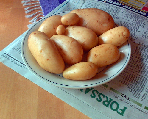 Как почистить килограмм картошки за 50 секунд