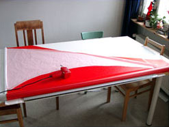conception kite