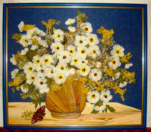 Photos de fleurs séchées