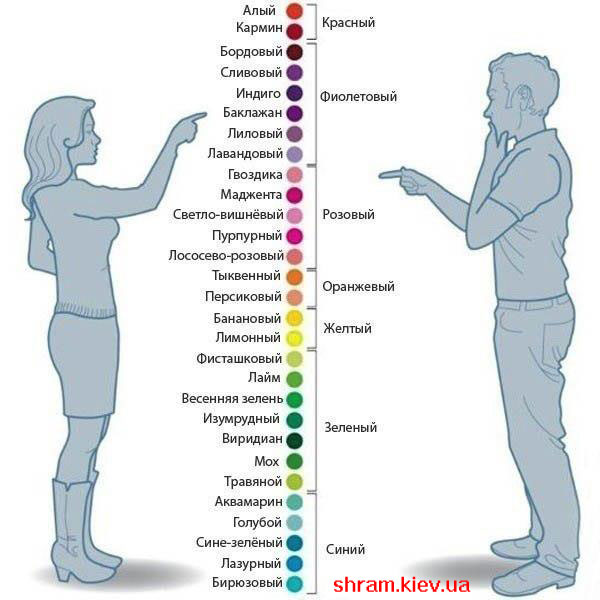 Les deux hommes et les femmes voient les couleurs Как мужчины и женщины видят цвета