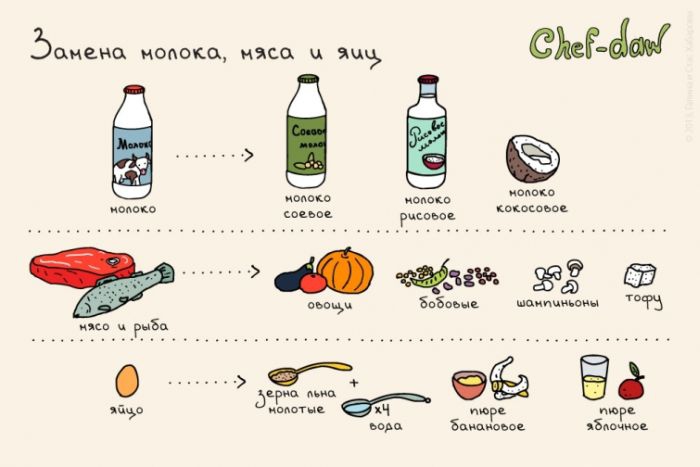 Remplacement du lait, la viande et les œufs - conseils culinaires en images Замена молока, мяса и яиц - Кулинарные советы в картинках