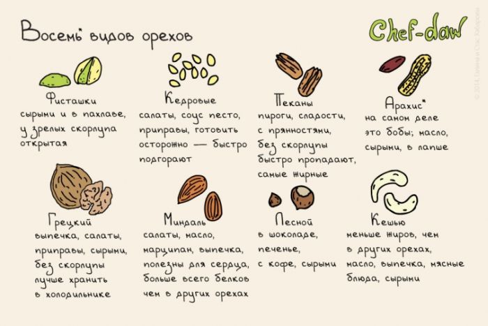 Huit sortes de noix - conseils culinaires en photos Восемь видов орехов - Кулинарные советы в картинках