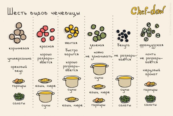 Six types de lentilles - conseils culinaires en images Шесть видов чечевицы - Кулинарные советы в картинках