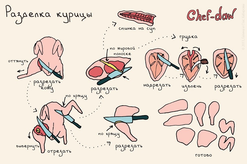 Couper Poulet - Conseils de cuisine en images Разделка курицы - Кулинарные советы в картинках