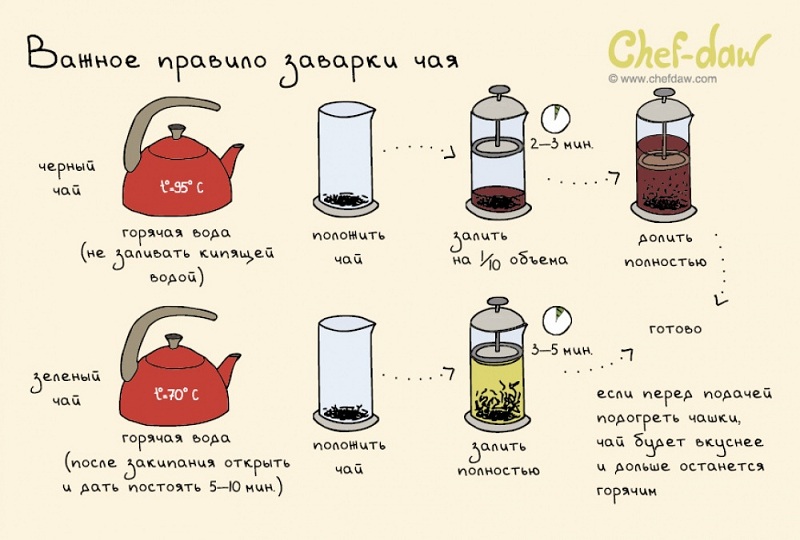 Une règle importante de thé de brassage - Conseils de cuisine en images Важное правило заварки чая - Кулинарные советы в картинках