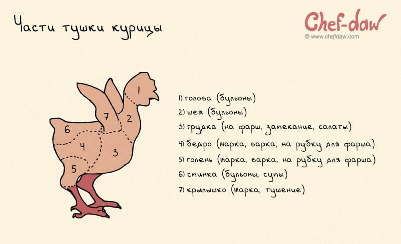 Les parties des carcasses de poulet - Conseils culinaires en images Части тушки курицы - Кулинарные советы в картинках