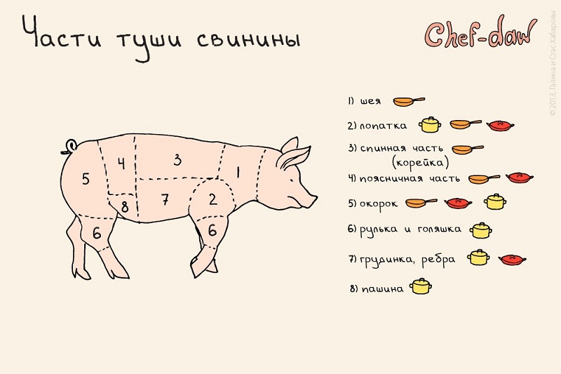 Une partie des carcasses de porc - conseils culinaires en photos Части туши свинины - Кулинарные советы в картинках
