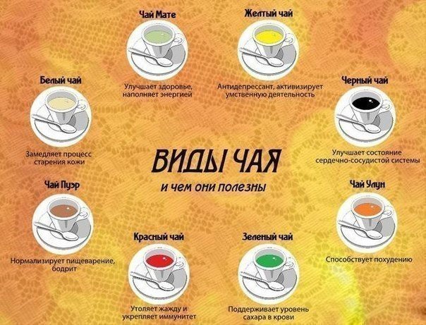 Salade d'oranges - conseils culinaires en images Салат с апельсинами - Кулинарные советы в картинках