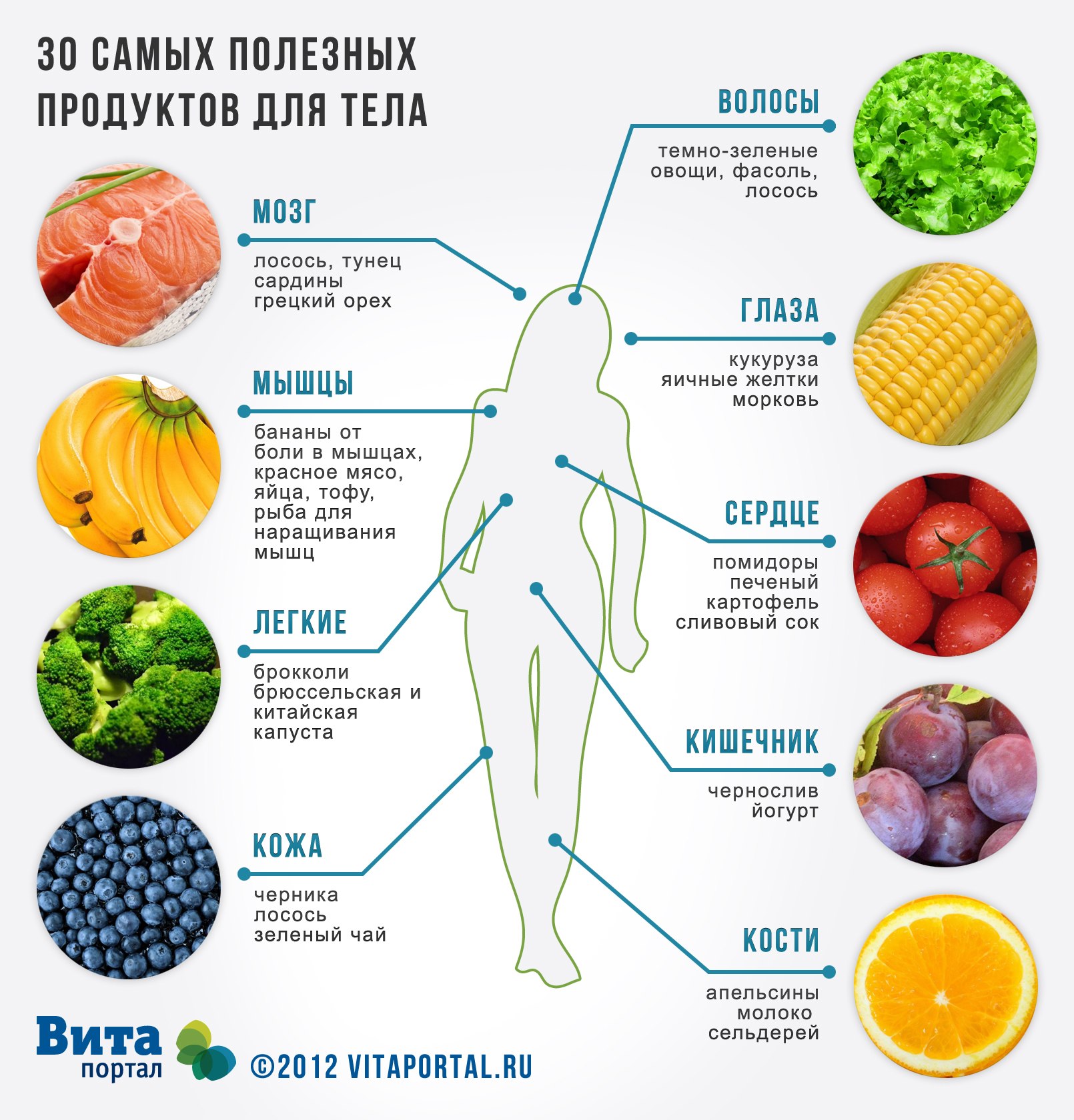 Salade d'oranges - conseils culinaires en images Салат с апельсинами - Кулинарные советы в картинках