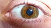 Marécage Eye - Types de couleurs des yeux