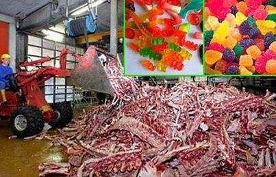 Fruit gum marmelade - il est nocif Фруктовый жевательный мармелад - это вредно