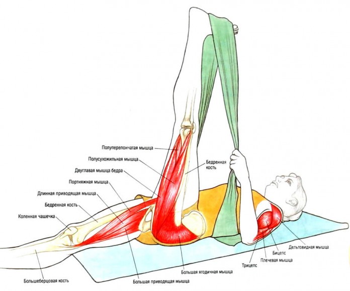 Qu'est-ce que vous dessinez est en fait: étirer les muscles en images Что Вы тянете на самом деле: растяжка мышц в картинках
