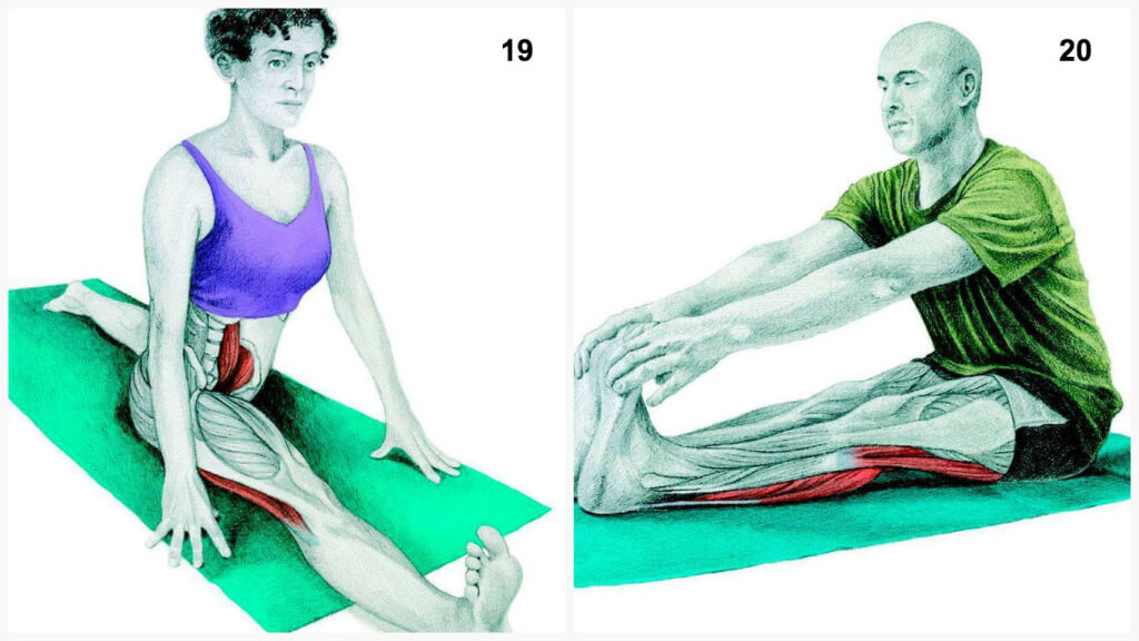 Qu'est-ce que vous dessinez est en fait: étirer les muscles en images Что Вы тянете на самом деле: растяжка мышц в картинках