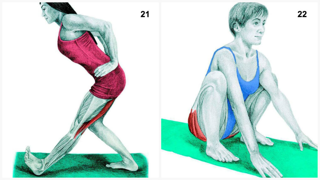 Qu'est-ce que vous dessinez est en fait: étirer les muscles en images Что Вы тянете на самом деле: растяжка мышц в картинках