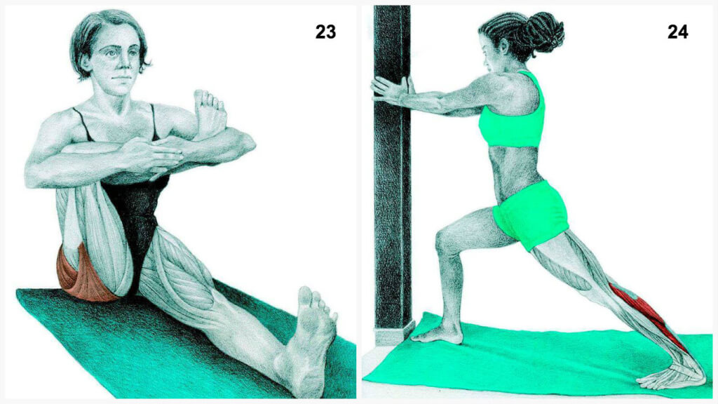 Qu'est-ce que vous dessinez est en fait: étirer les muscles en images Что Вы тянете на самом деле: растяжка мышц в картинках