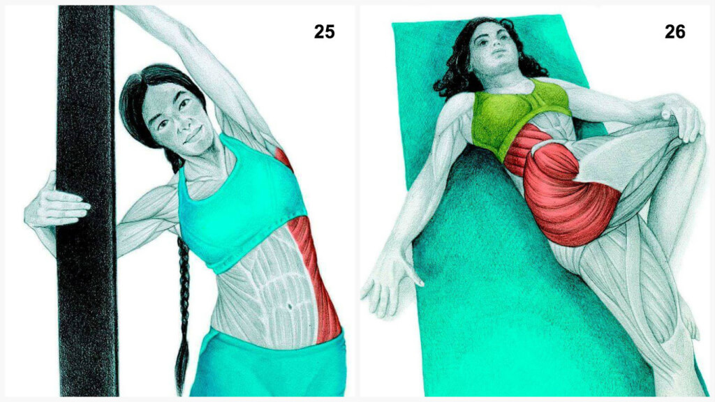 Qu'est-ce que vous dessinez est en fait: étirer les muscles en images Что Вы тянете на самом деле: растяжка мышц в картинках