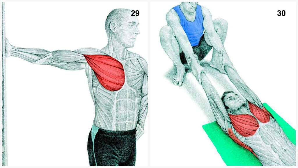 Qu'est-ce que vous dessinez est en fait: étirer les muscles en images Что Вы тянете на самом деле: растяжка мышц в картинках