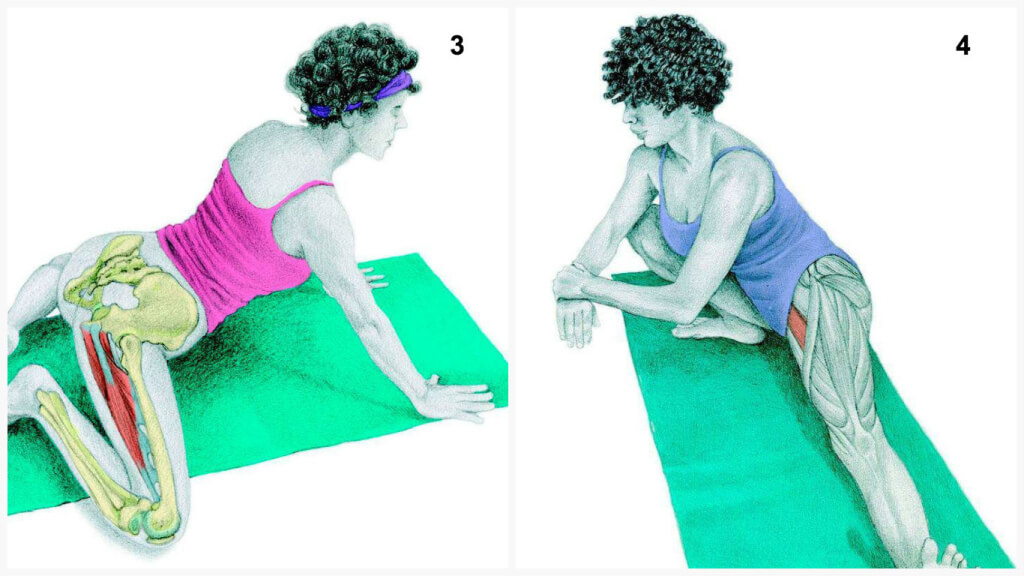 Qu'est-ce que vous dessinez est en fait: étirer les muscles en images Что Вы тянете на самом деле: растяжка мышц в картинках