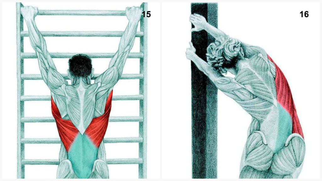 Qu'est-ce que vous dessinez est en fait: étirer les muscles en images Что Вы тянете на самом деле: растяжка мышц в картинках