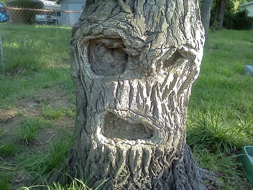 Pareidolia - pourquoi nous voyons le visage Парейдолия - почему мы видим лица
