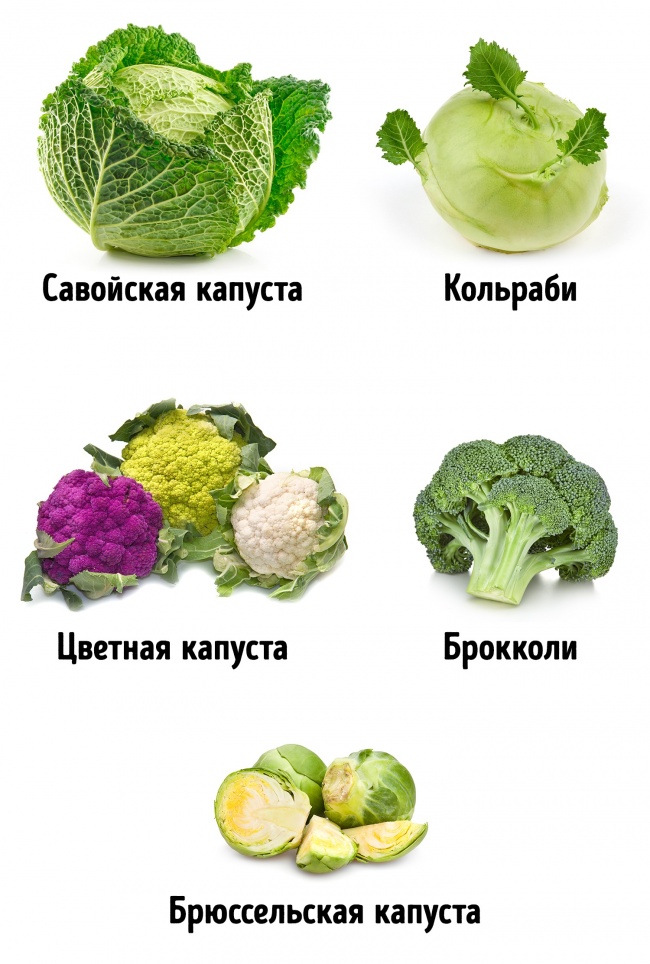 Памятка как выбрать овощи