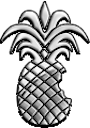 Encyclopédie jailbreak pour Windows