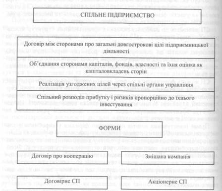Sotsіalno-Ekonomichna sutnіst spіlnogo pіdpriєmstva