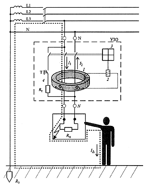 La structure du RCD