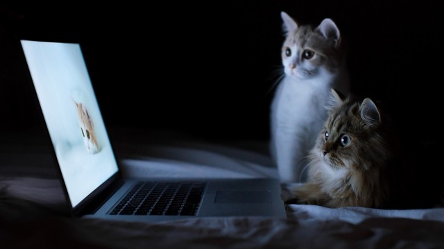 12 sites utiles que vous ne saviez pas 12 полезных сайтов, о которых вы не знали