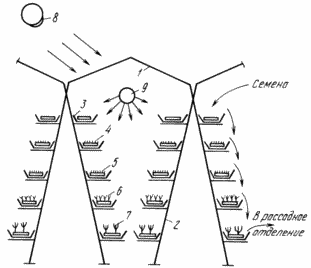 plantules MÉTHODE TOMATE SUR installations hydroponiques multistoried